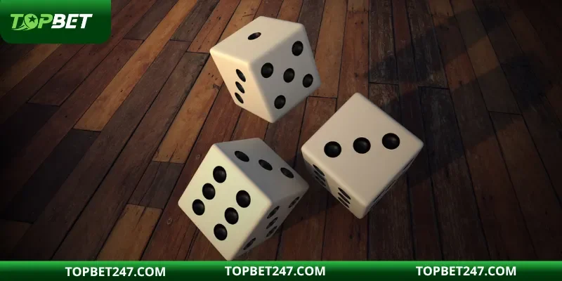 Cá cược theo kế hoạch không để lệch hướng