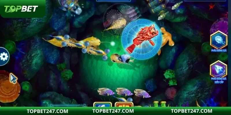 Hệ thống phòng cược đa dạng cho hội viên lựa chọn