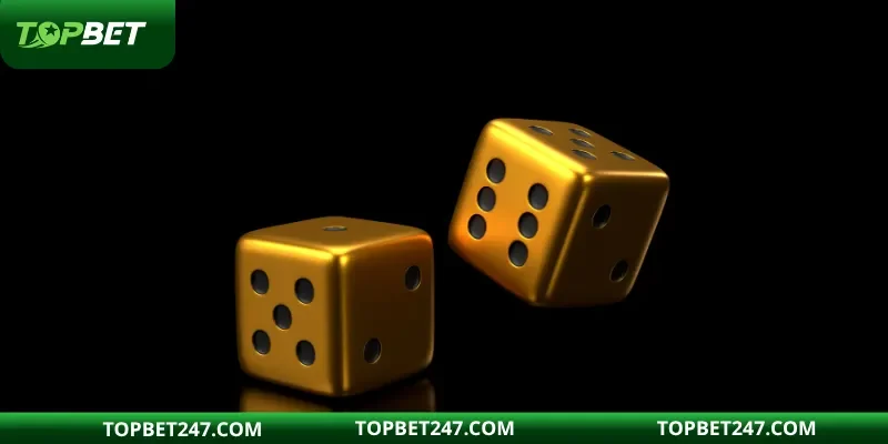 Live tài xỉu là sự lựa chọn hàng đầu cho bạn