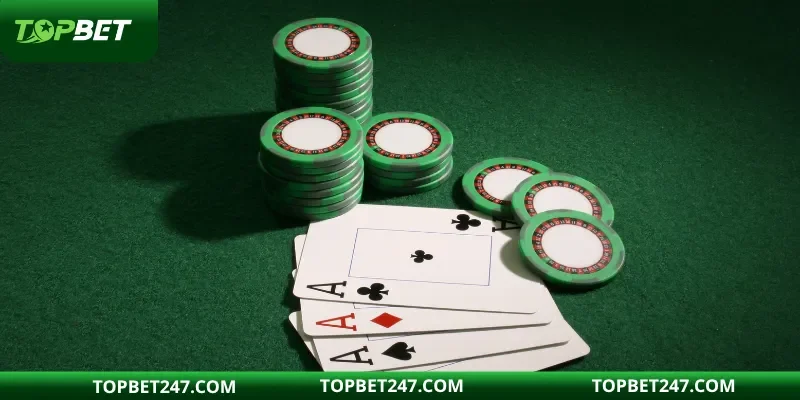 Palmslots có đa dạng phong cách và tính năng