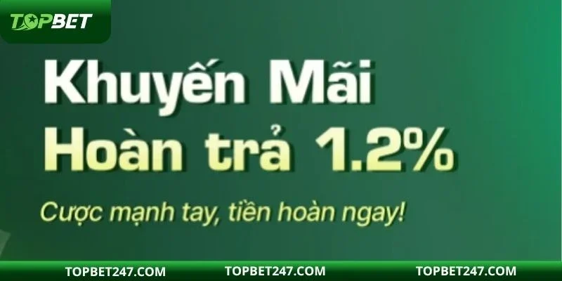 Ưu đãi hoàn cược hấp dẫn cho mọi hội viên